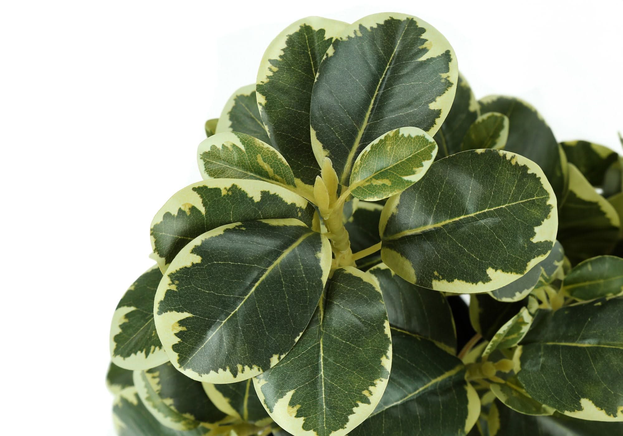 14" Tall, Artificial Plant, Ficus, Indoor, Faux, Fake, Table, Greenery, Potted, Decorative (Set of 2) - Green / Black - Image 2
