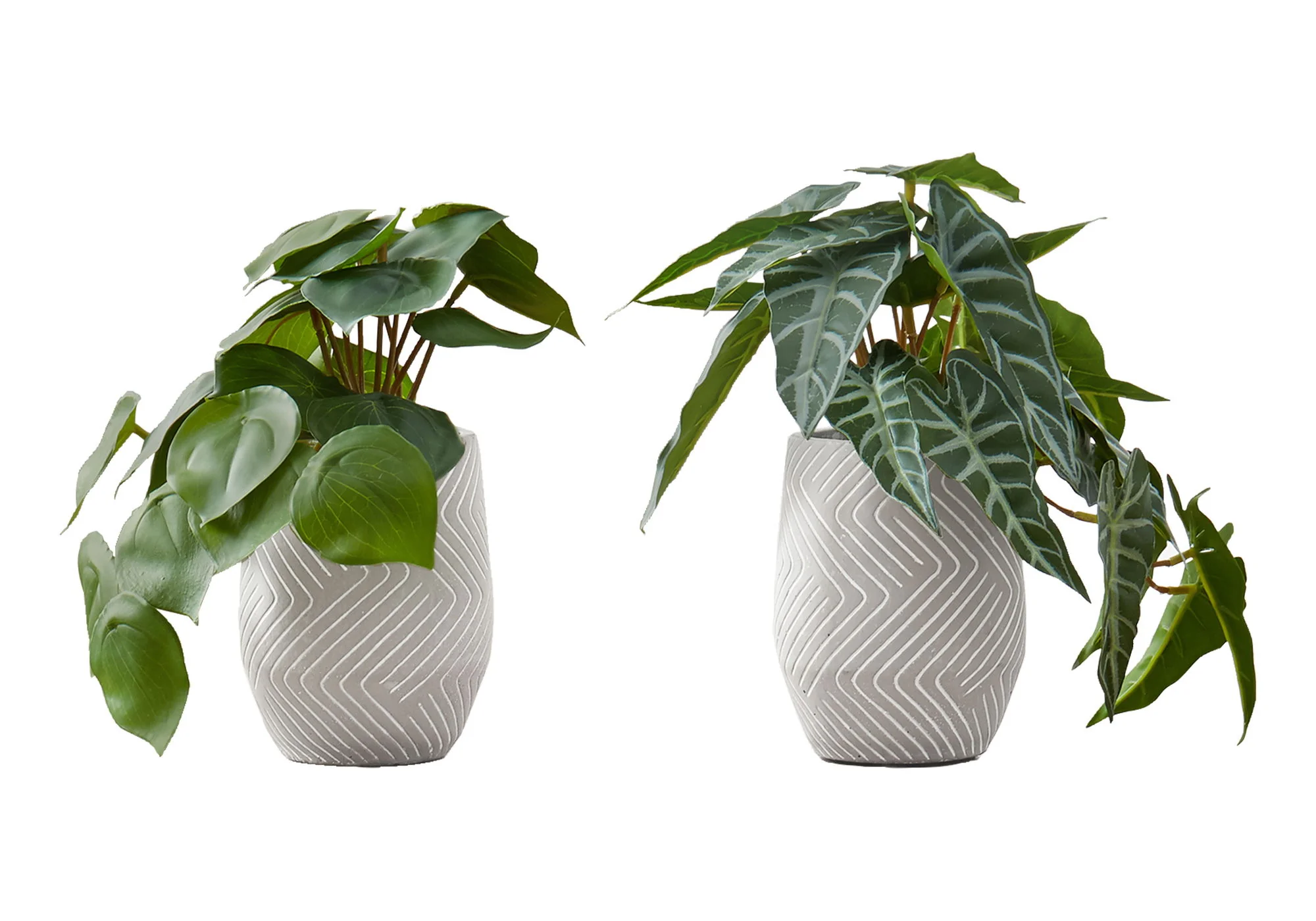 Artificial Alocasia Plant (Set of 2) - Image 5