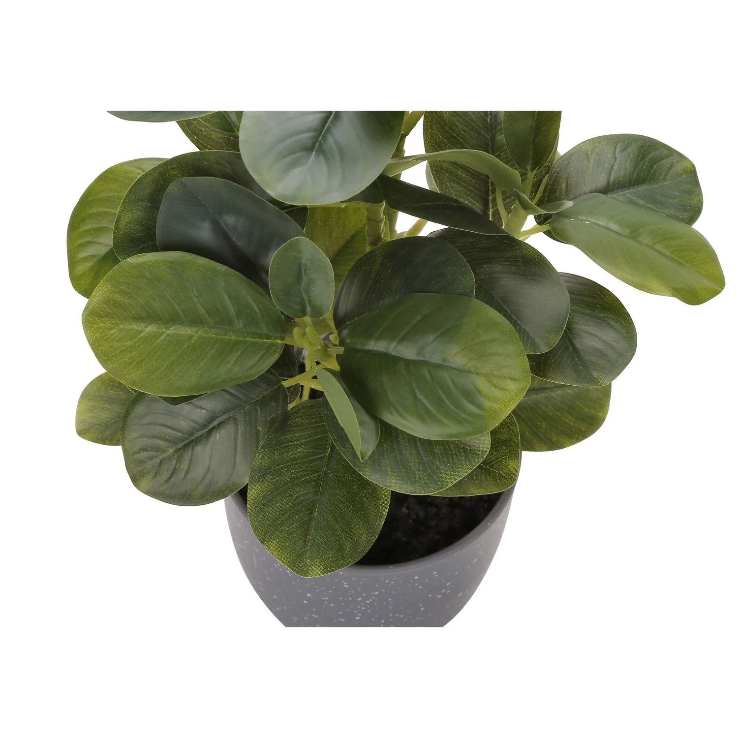 Artificial Ficus Elastica Plant (Set of 2) - Image 3
