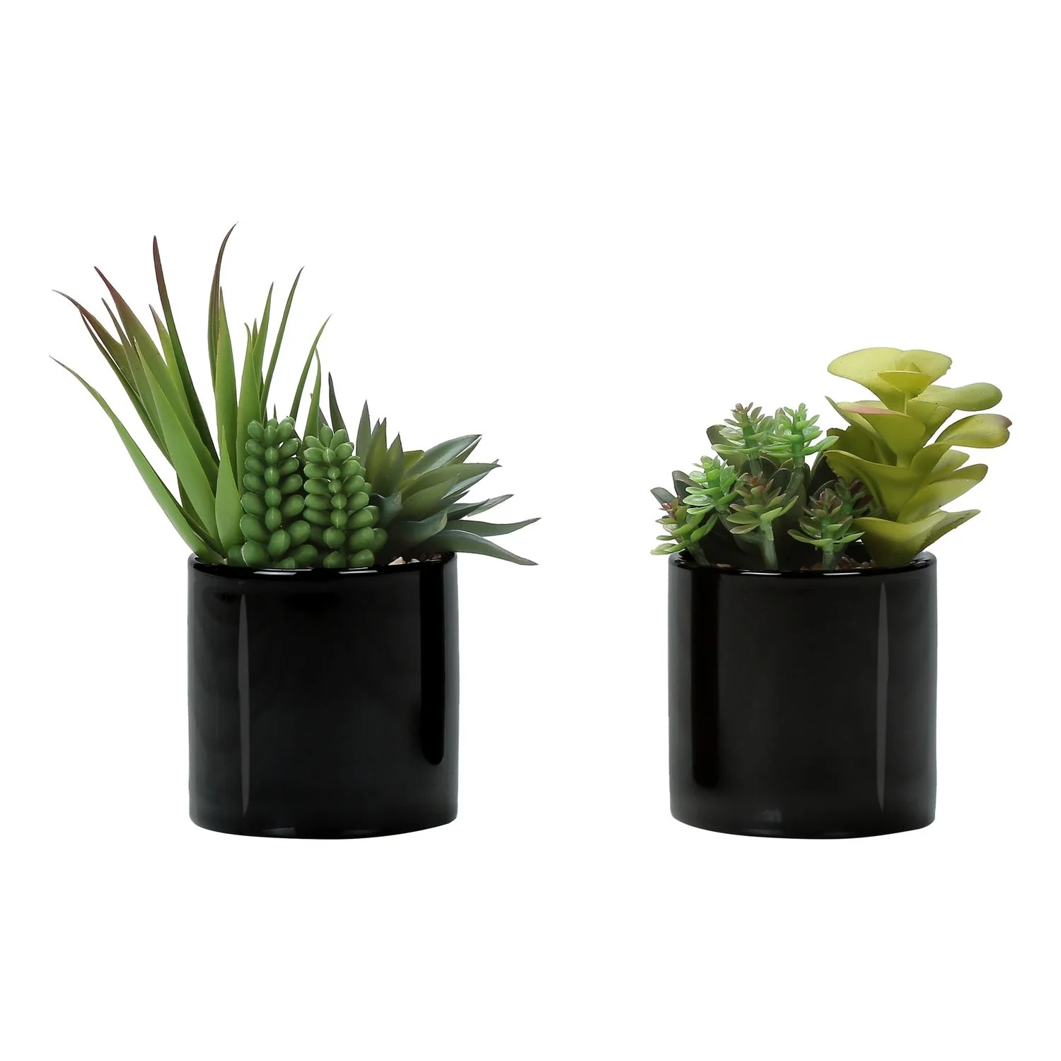 Artificial Succulent Plants (Set of 2) - Image 2