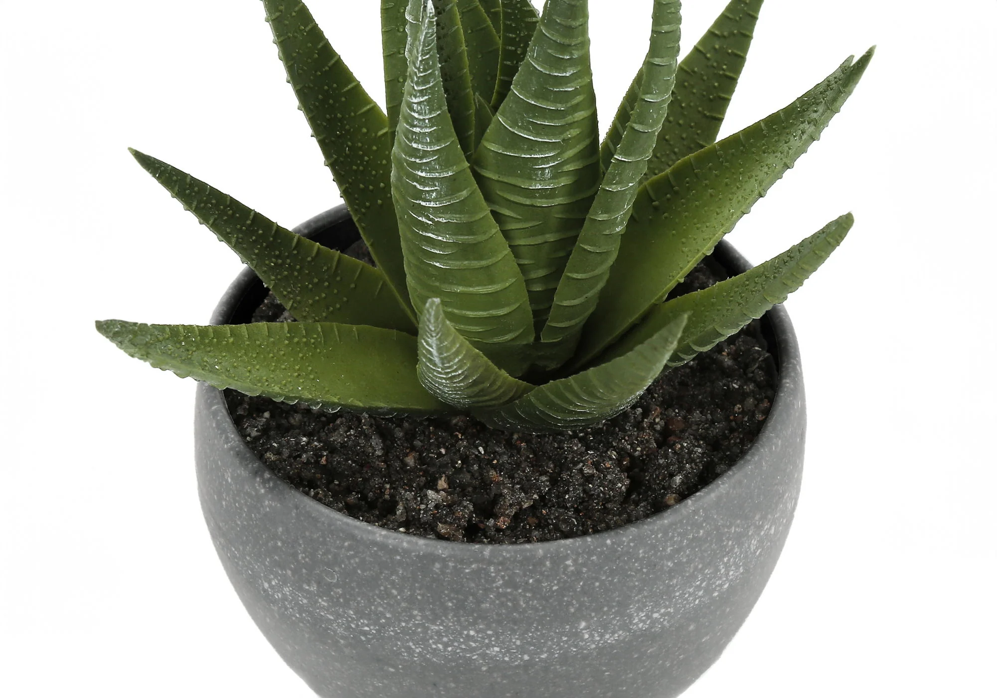 Artificial Succulent Plants (Set of 3) - Image 11