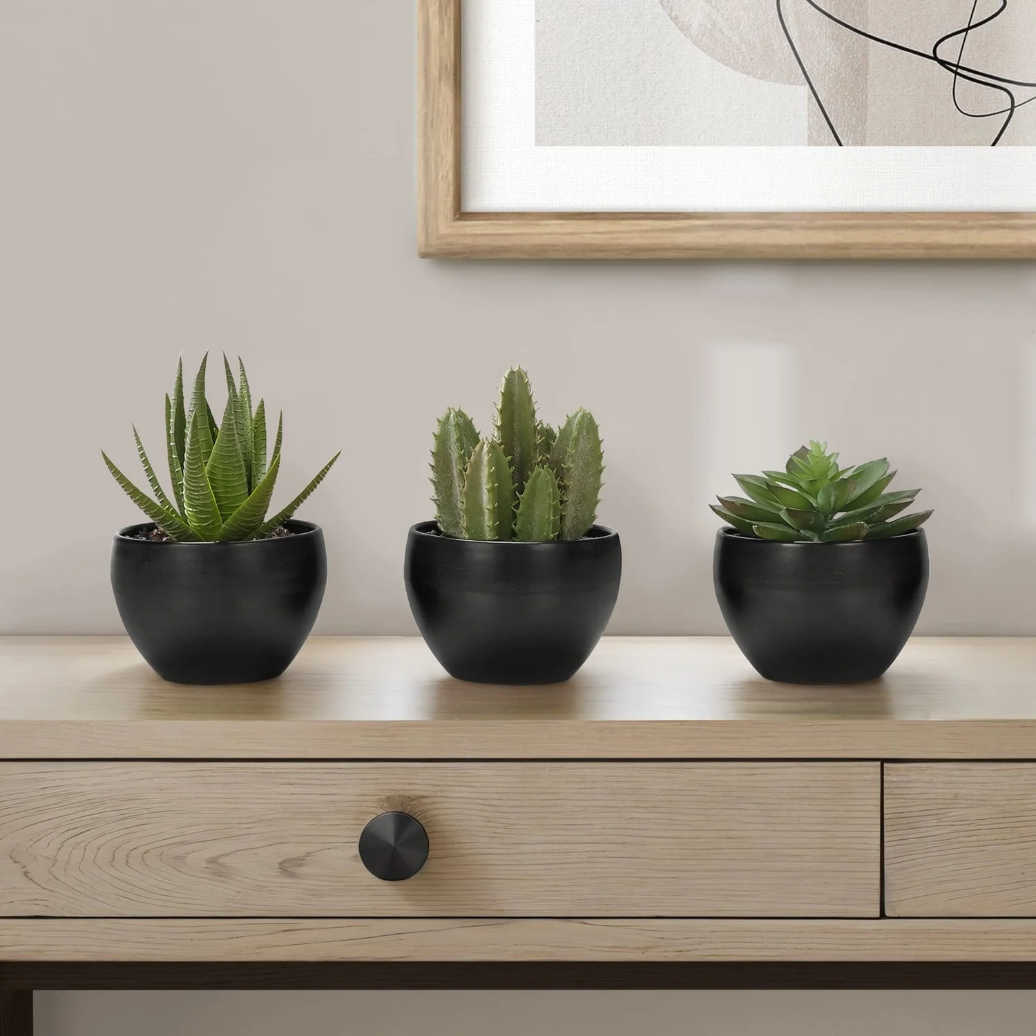Artificial Succulent Plants (Set of 3) - Image 12
