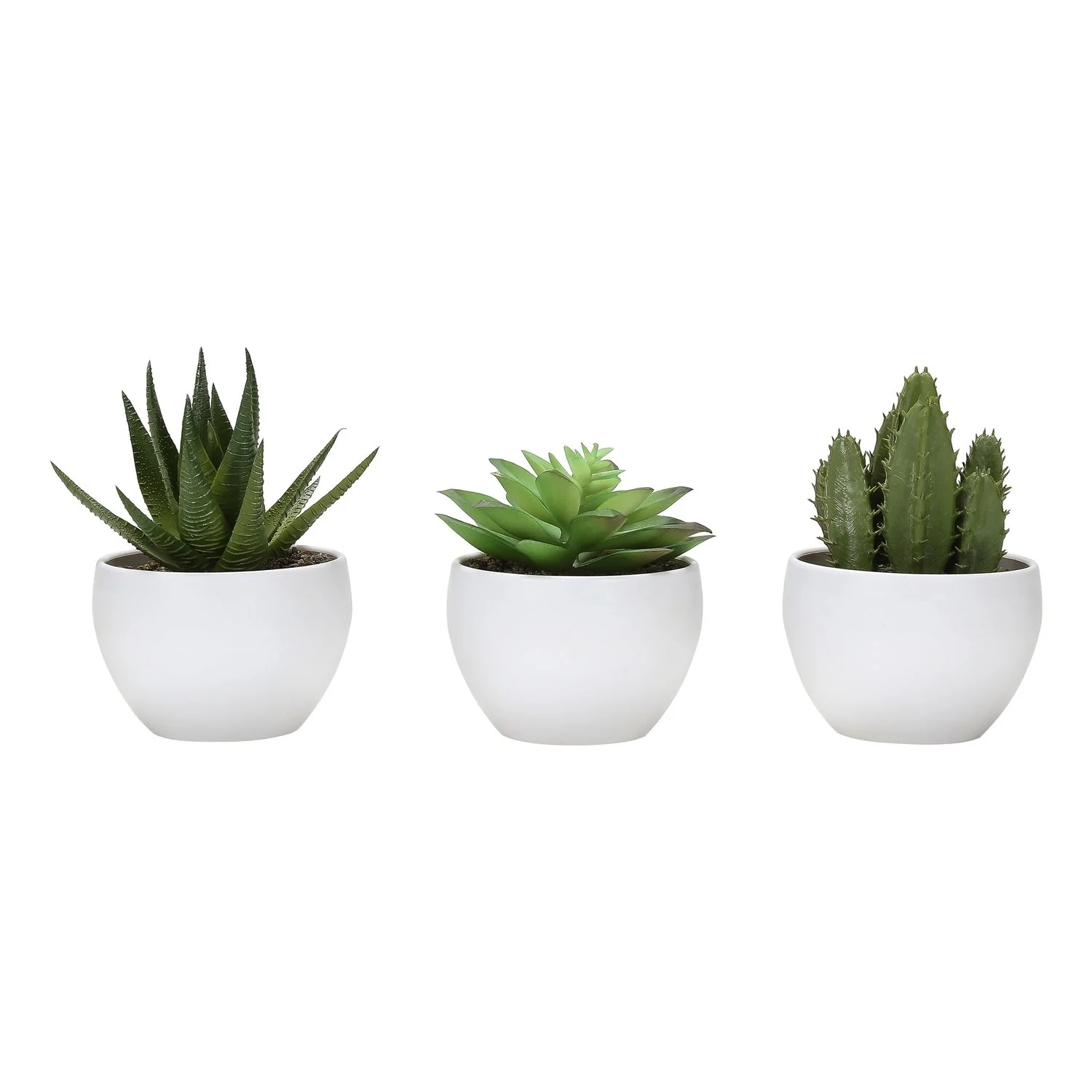 Artificial Succulent Plants (Set of 3) - Image 3