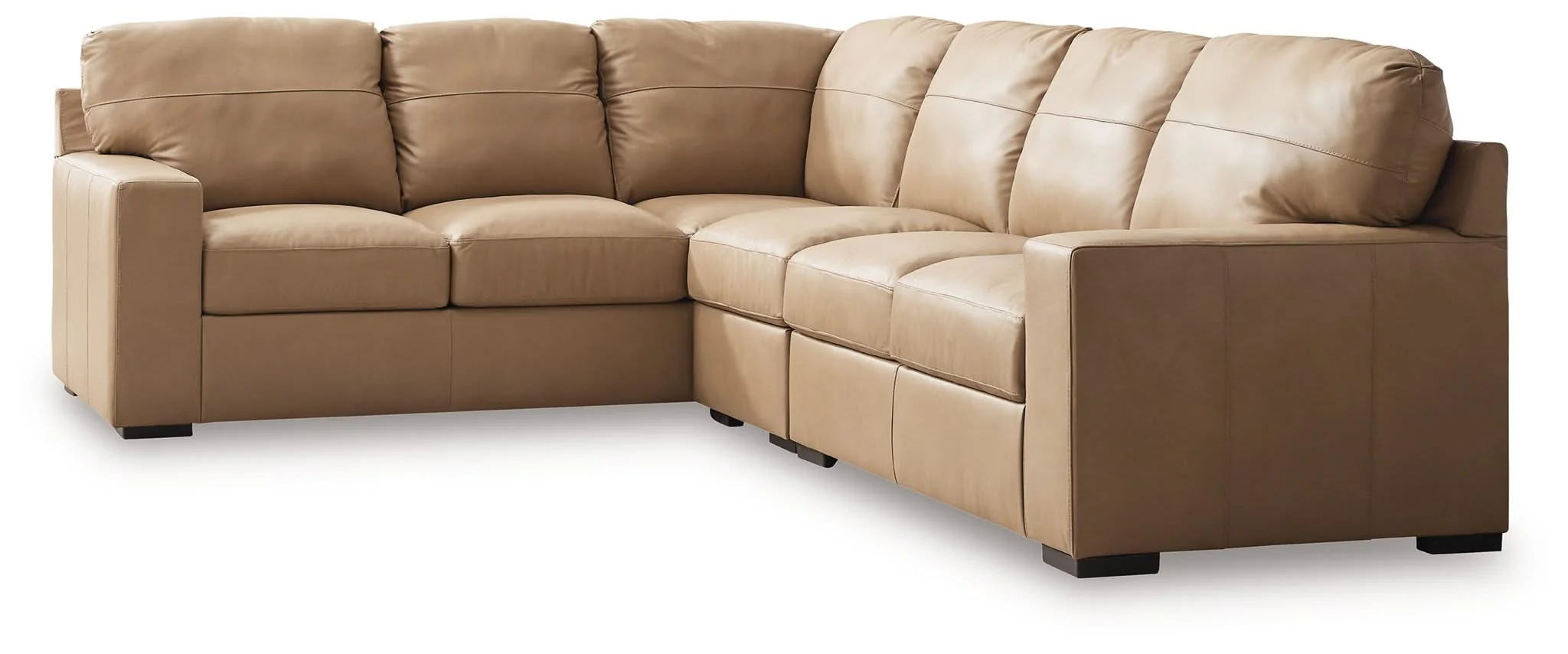 Bandon - Sectional - Image 4