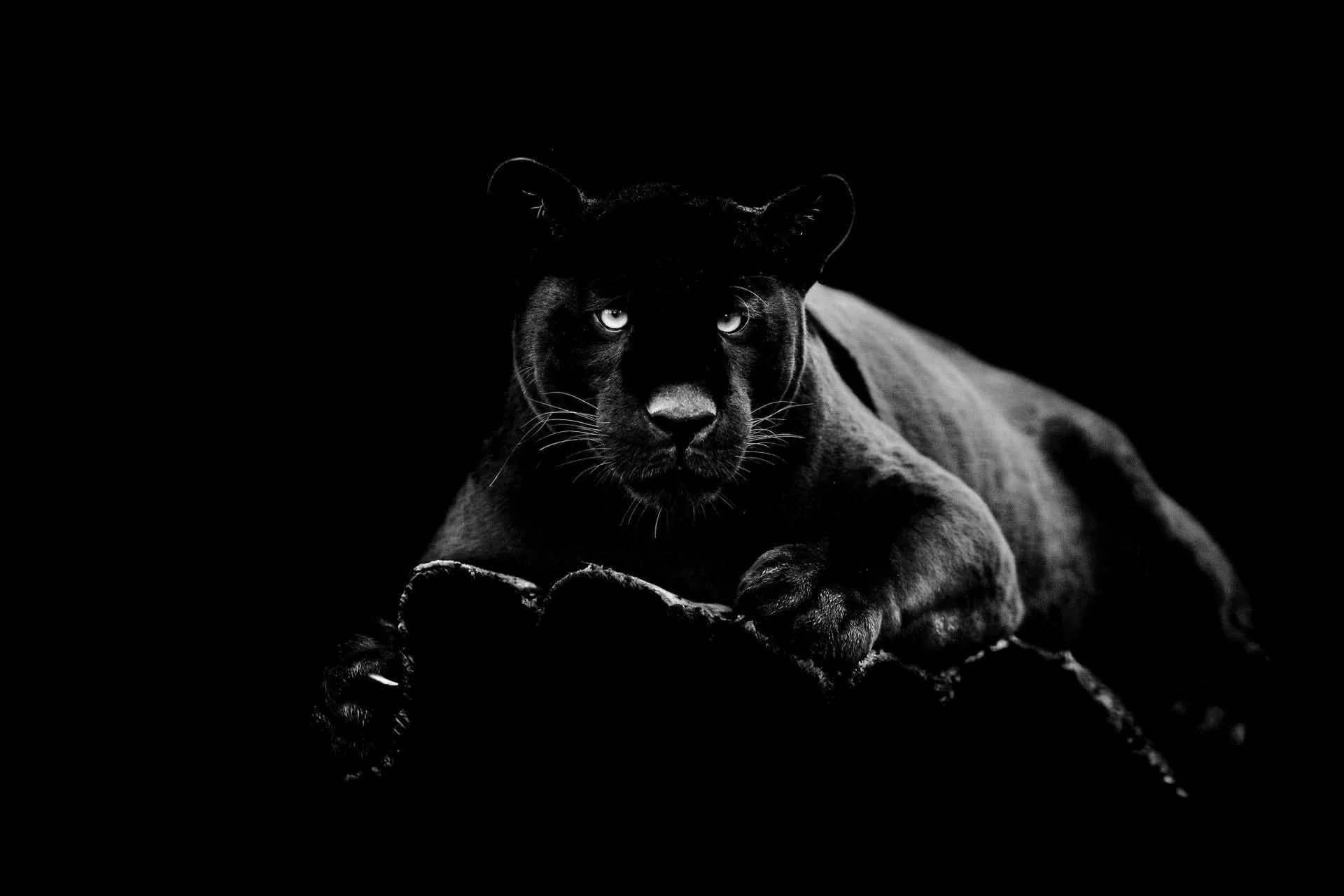 BLACK PANTHER GLASS WALL ART