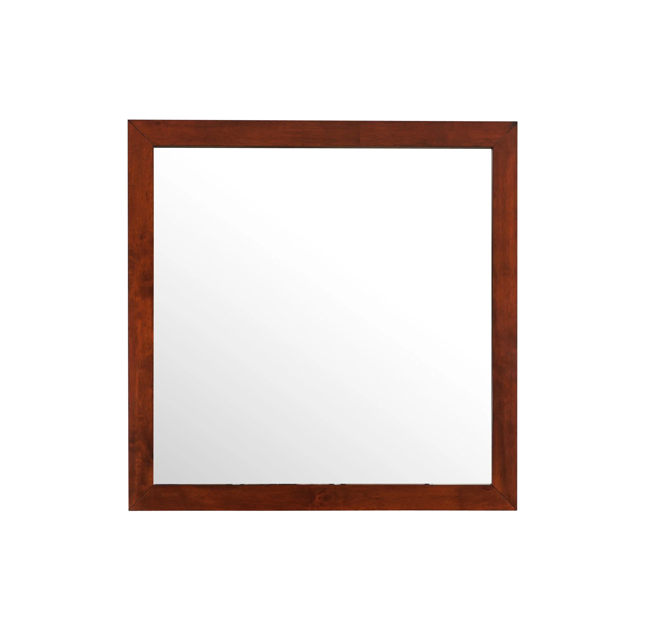 Burlington - Modern Design Transitional Wall Mirror - Image 7