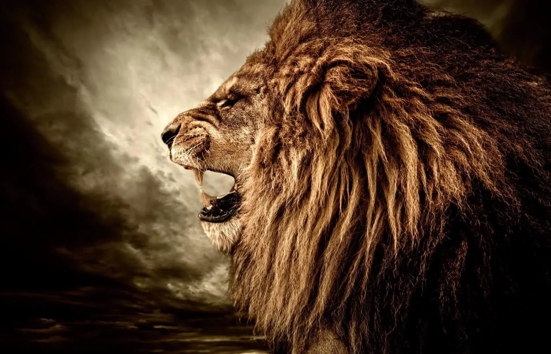 LION HEAD GLASS ART