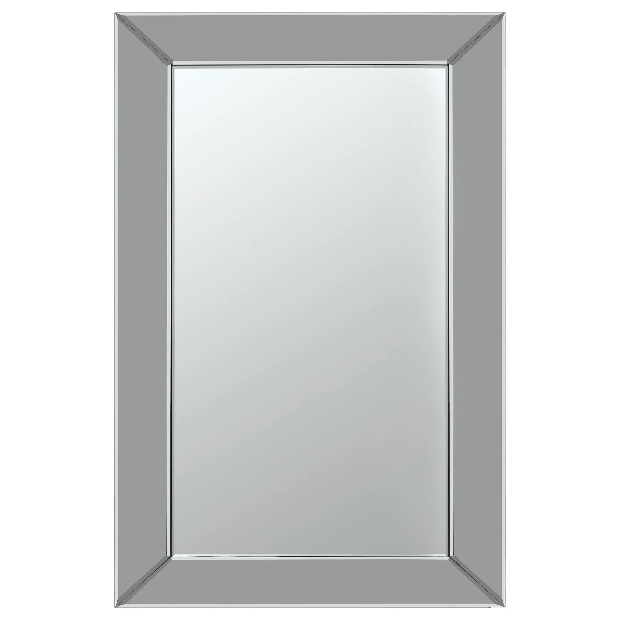 Pinciotti 36 x 24 Inch Beveled Frame Wall Mirror Silver