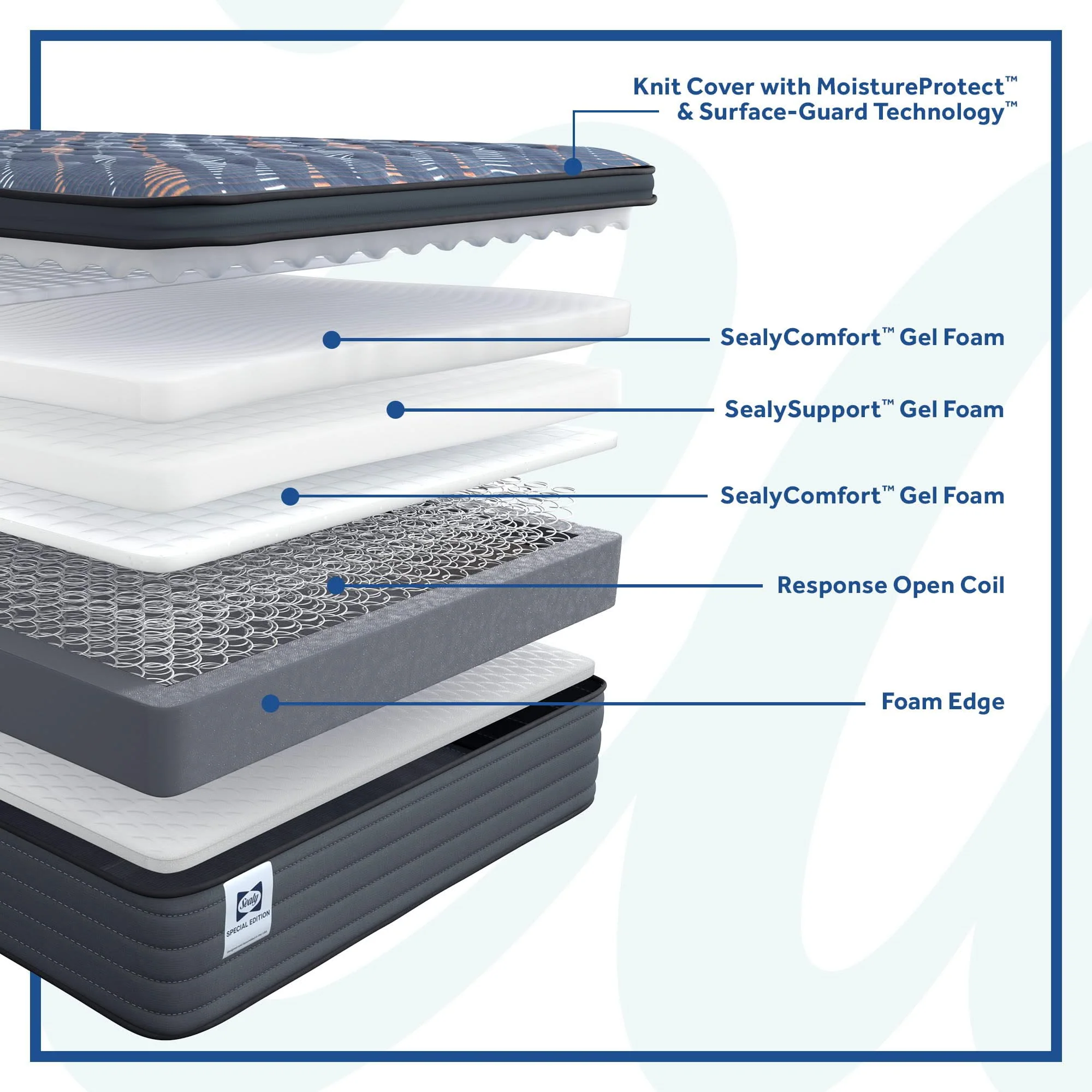 Special Edition - Warner Euro Pillow Top Soft - Image 3