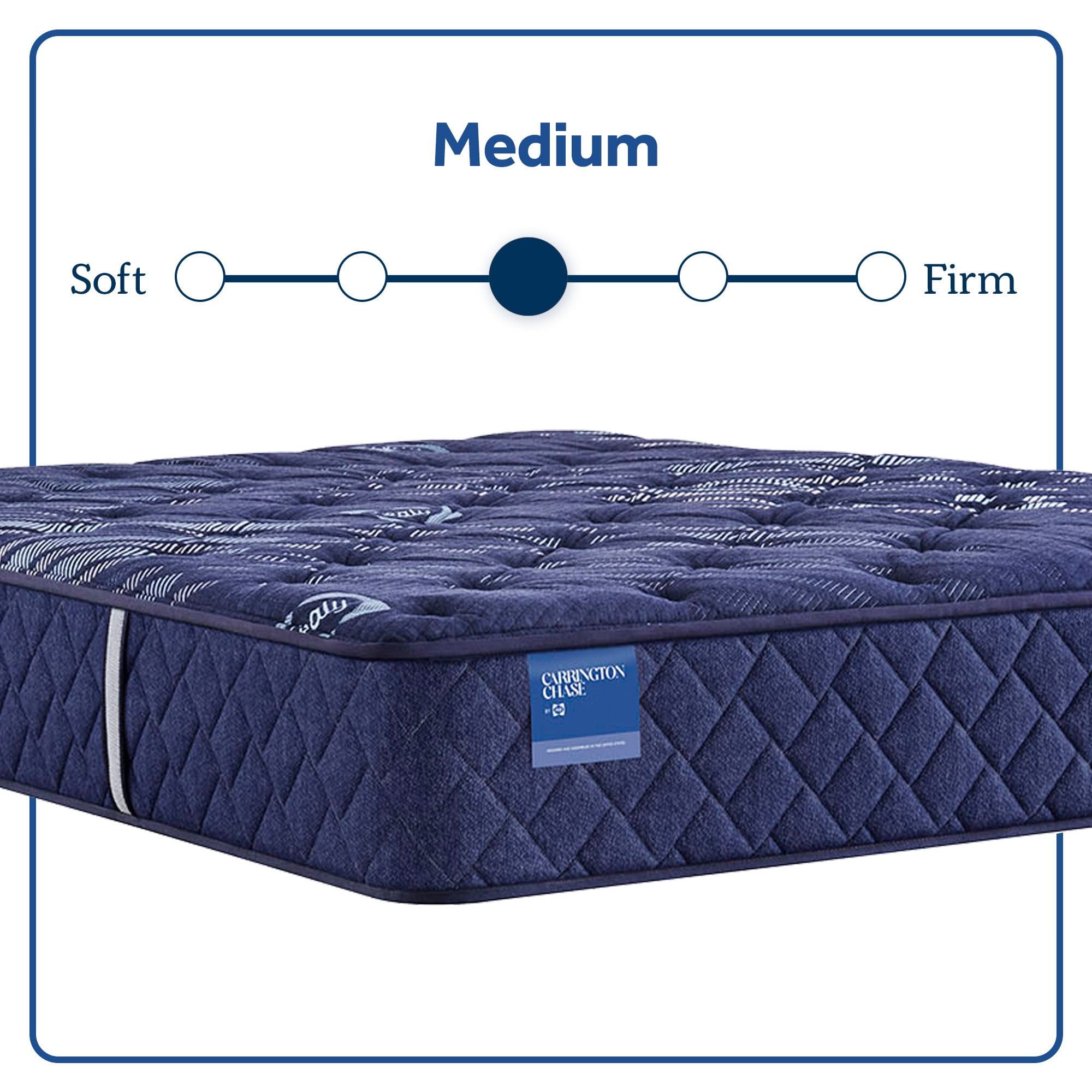 Carrington Chase - Travelers Rest Medium Tight Top Mattress